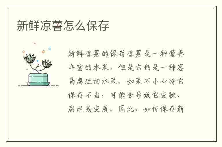 新鲜凉薯怎么保存(新鲜凉薯怎么保存不容易坏)